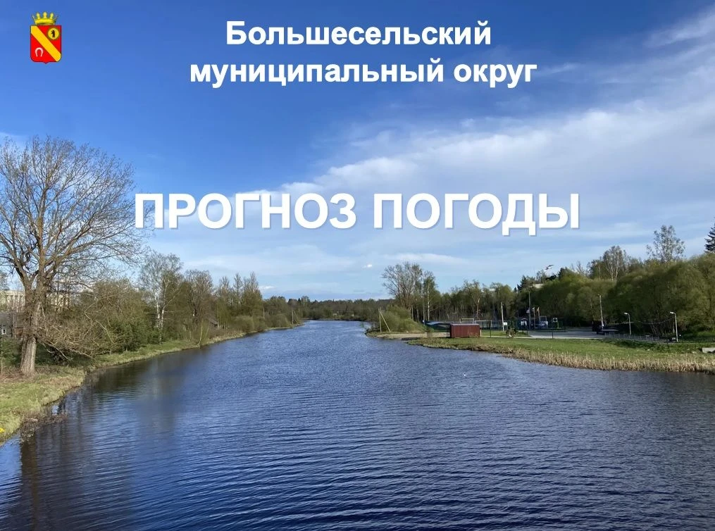 Прогноз погоды на 9 сентября в Большесельском округе