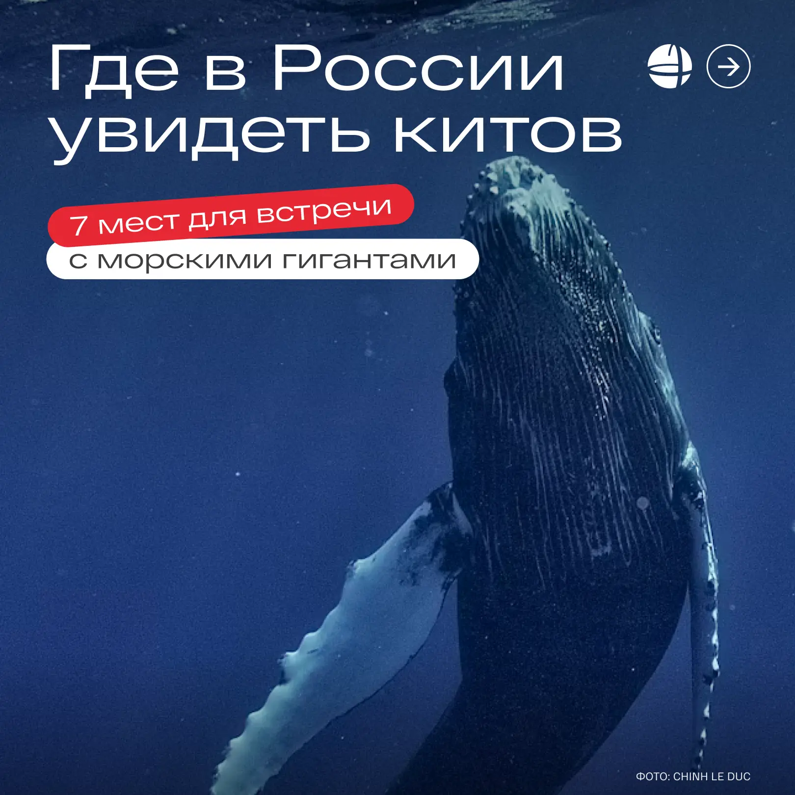 🐋 А вы когда-нибудь видели кита вживую?

В честь Всемирного дня китов собрали 7 мест в России, где 