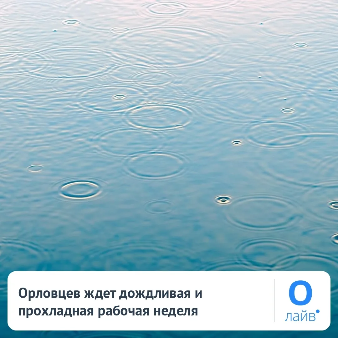 🌧 Орловцев ждет дождливая и прохладная рабочая неделя
