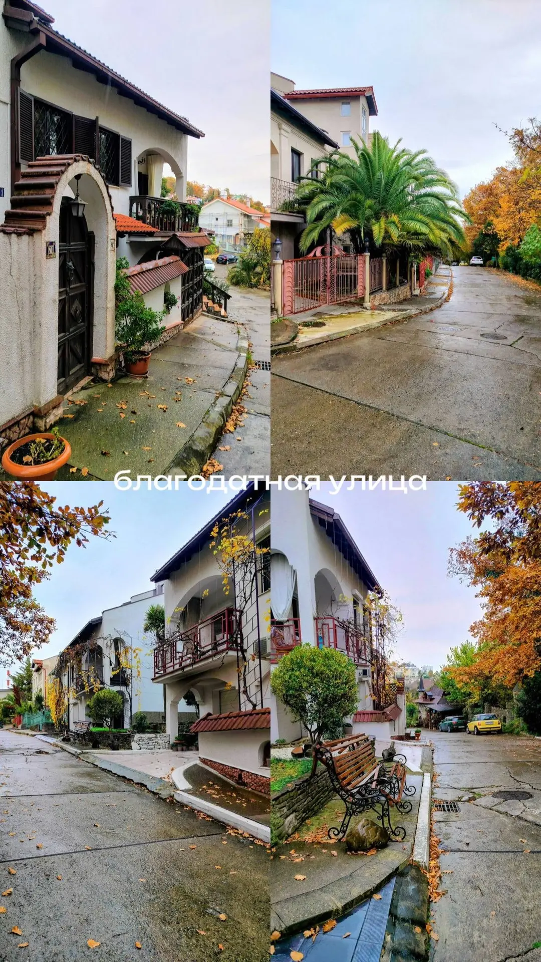 Подобрали Вам локации,  для фотографий в Сочи: