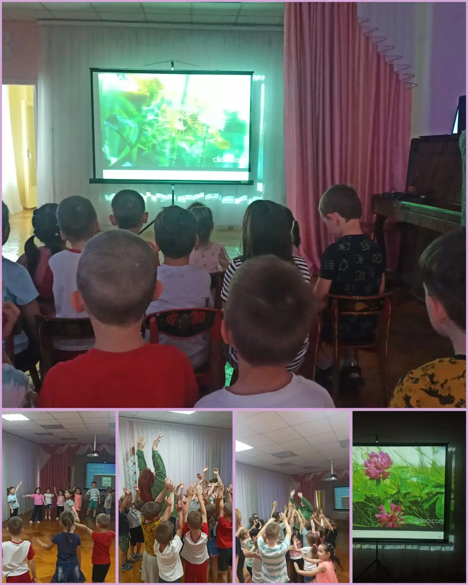 Игра - викторина "Царство цветов" для детей старшего дошкольного возраста, педагог - пс...