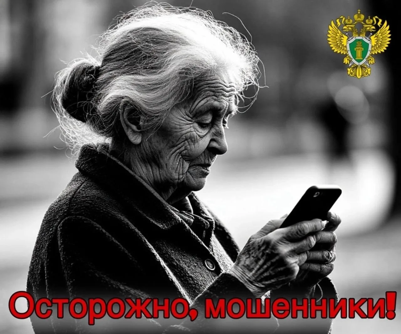 🛡️В Костромской области прокуратура защитила права пенсионерки, пострадавшей от действий телефонных