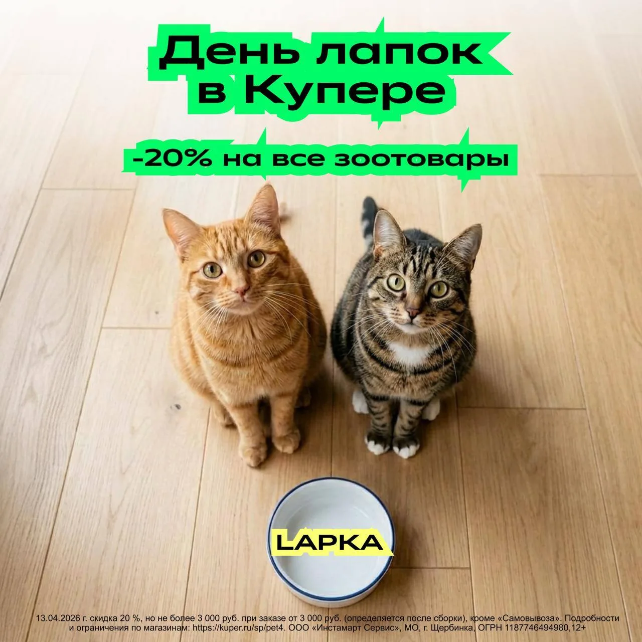 Этот кото-взгляд всегда срабатывает :(