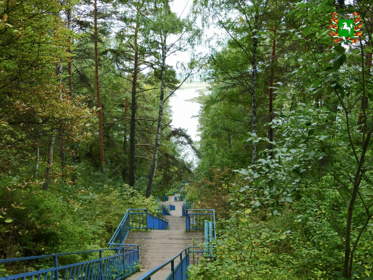 Отличной недели, Томская область! 🌿