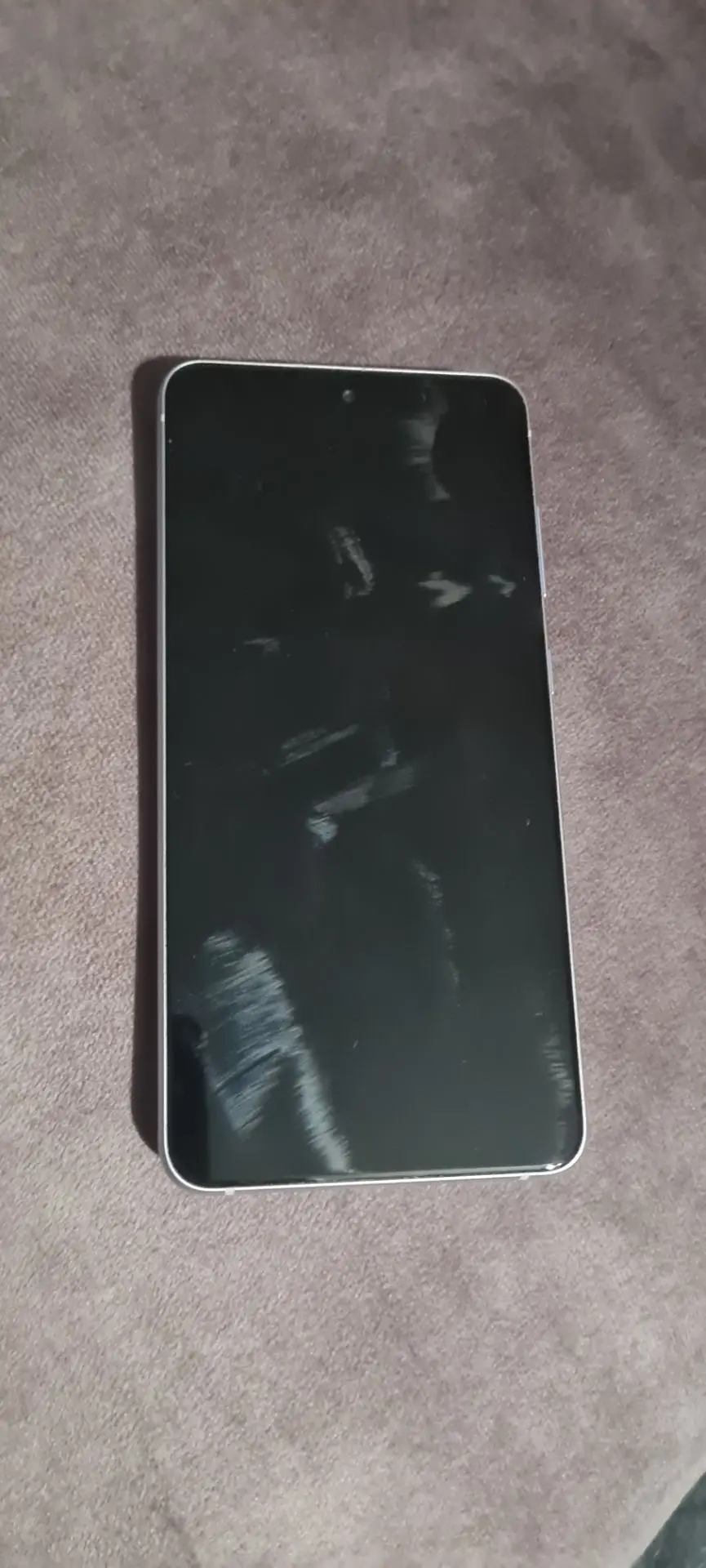 Samsung S21FE