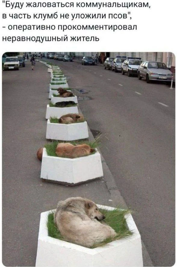 Беспредел 😂