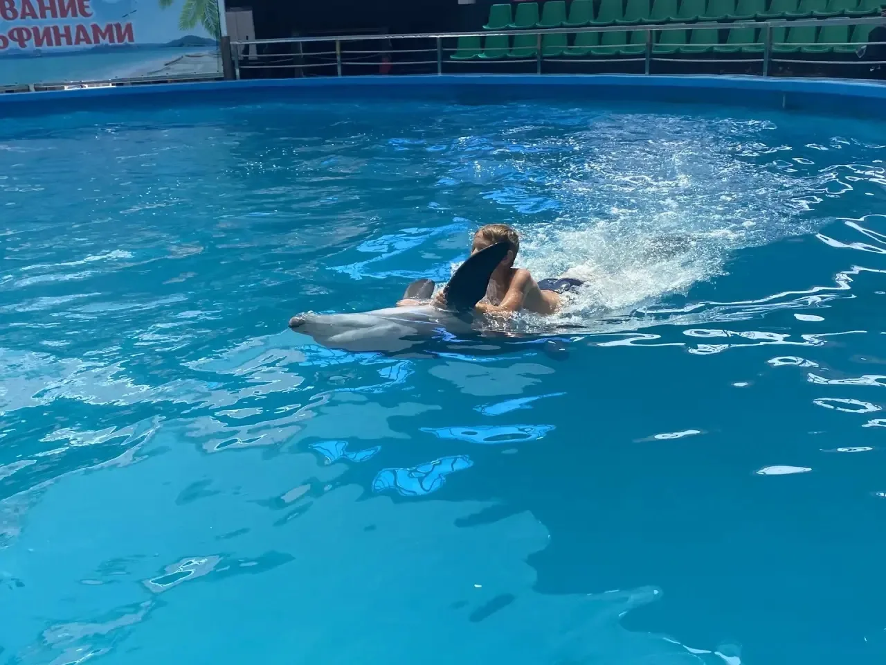 Дельфинарий (23.07) 🐬