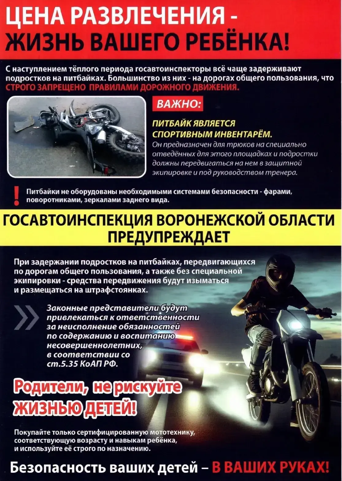Питбайк: драйв или опасность? Разбираем главное.