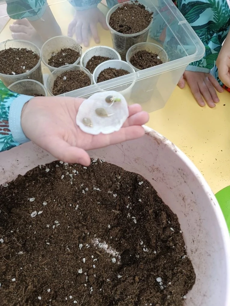 С грядками покончено, начинается самое интересное! 🌱
С радостью возвращаемся к нашему грантовому пр