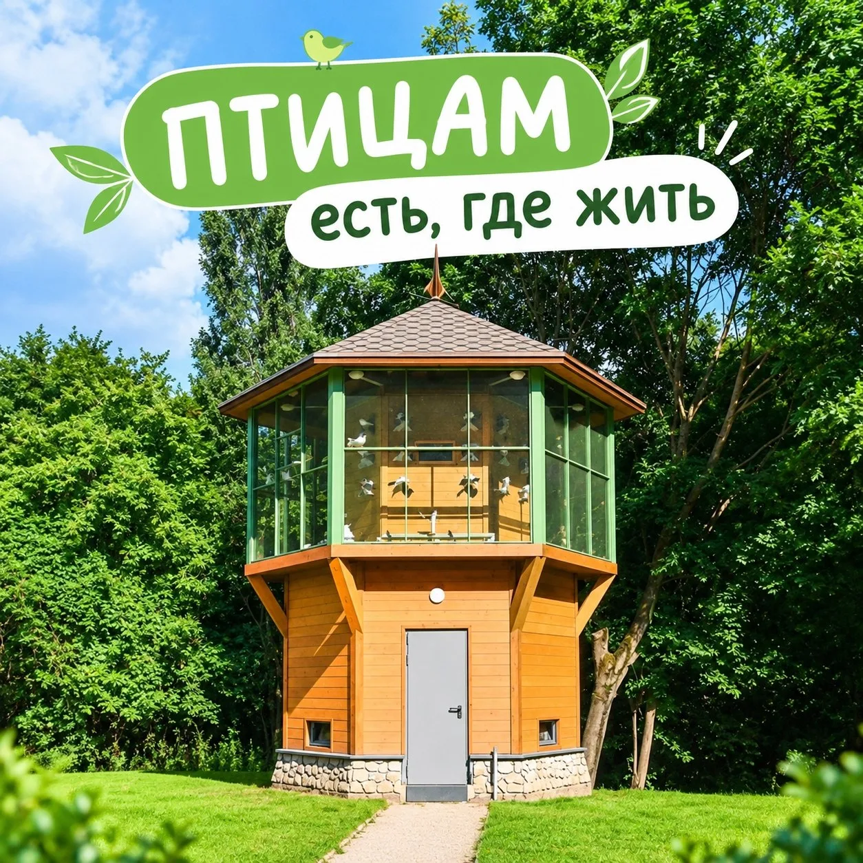 😂Не могу пойти мимо этой новости. 📰 Как известно, если тебя пометил голубь 🕊️ это к ...
