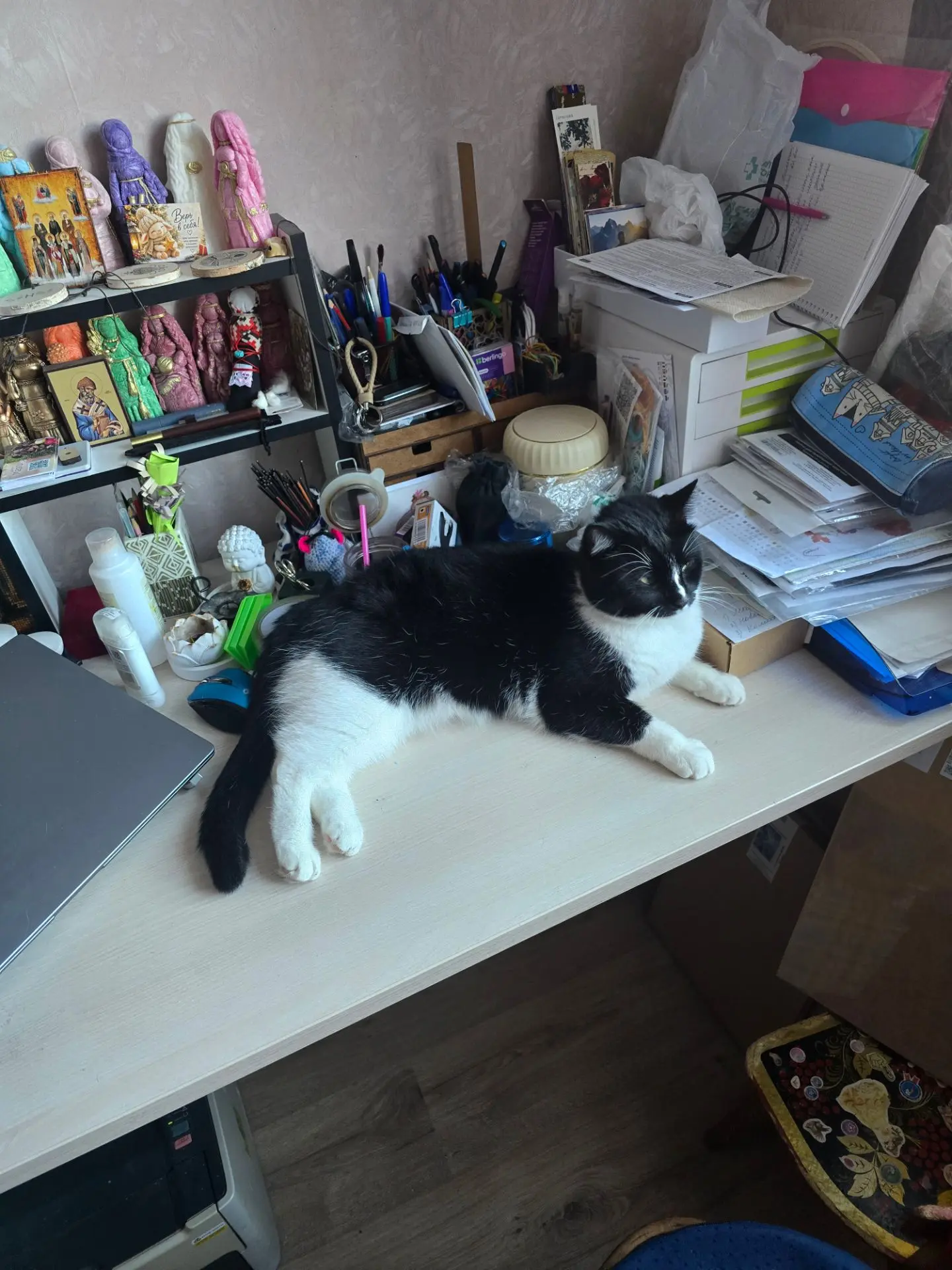 Кот учёный пришел. Плюхнулся на вышивку. Гладить надо только его