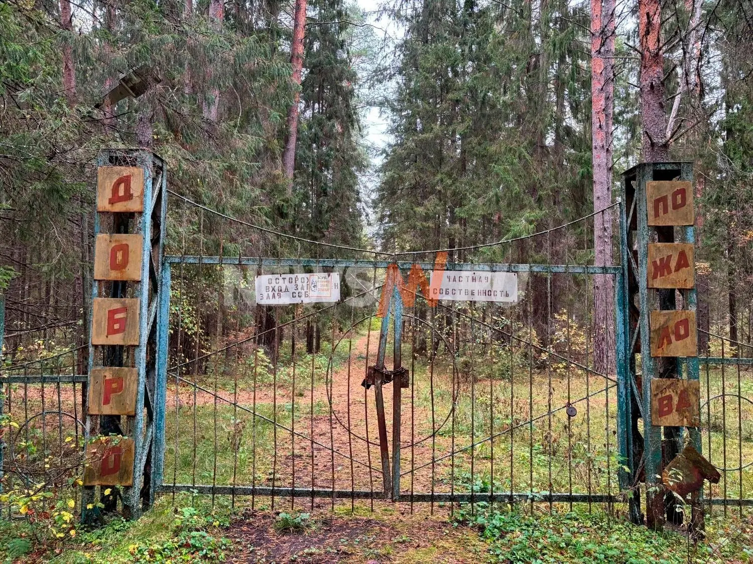 На берегу Горьковского моря, у поселка Коробово в Нижегородской области, находится забр...