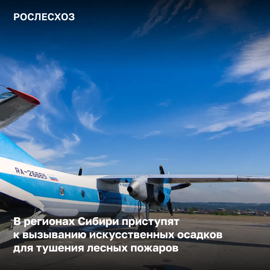 🟢 За сутки в России на землях лесного фонда потушено 52 лесных пожара на площади 1,9 тыс. га.

🔥 Л