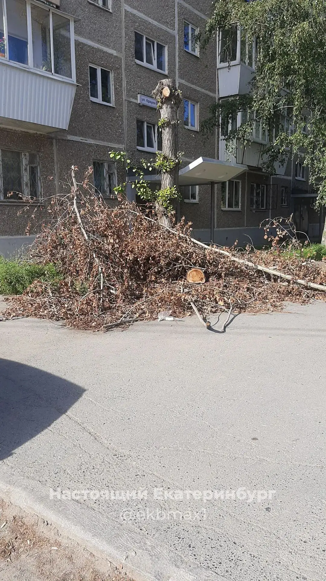 На Крауля 87к1, уже очень давно лежат ветки, дерево спилили а убирать кто будет? Или ка...
