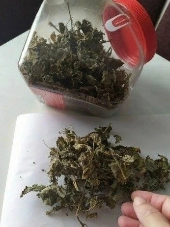 Кaк прaвильно фермeнтировaть лиcтья мяты или мeлиcы, вeдь чaй из проcто сyшeных лиcтьeв...