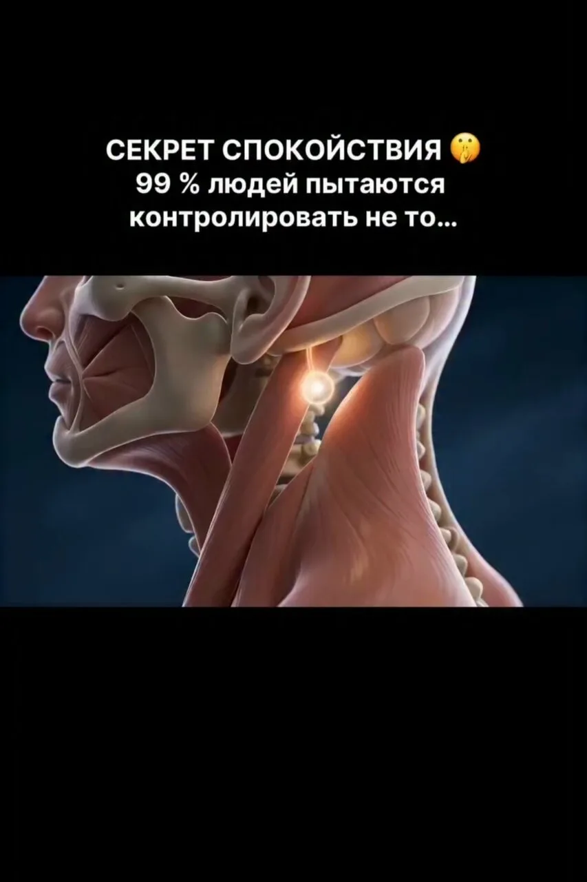 🤫 Есть одна ошибка, из-за которой тревога и напряжение возвращаются снова и снова.