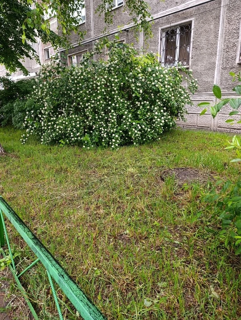 Наши будни. Покос травы 

Продолжаем рассказывать вам о наших буднях.
На этой неделе был завершён по