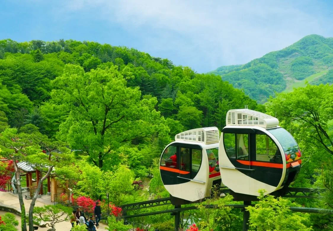 Ботанический сад Хвадам в Кванджу, Южная Корея 🇰🇷  🔹 Ботанический сад Хвадам расположен в городе Ква
