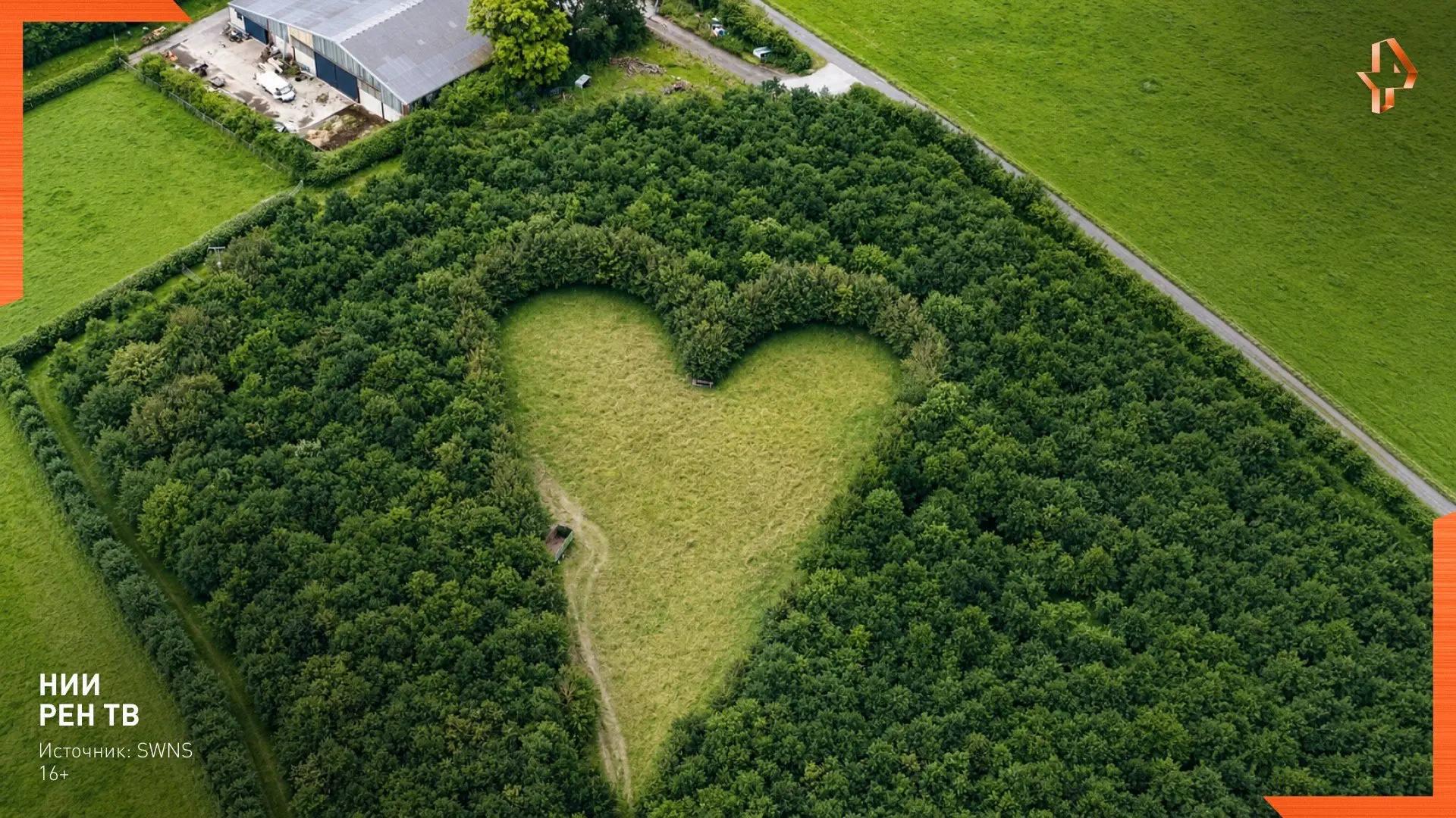 🌳Лес памяти.

Британский фермер Уинстон Хоус высадил 6 000 деревьев в память об умершей жене. И тол