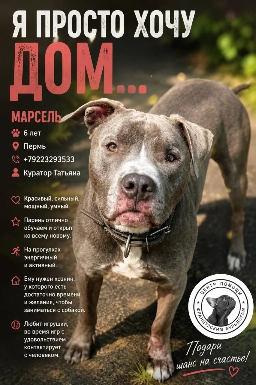 Я не сумею никогда… увы… понять