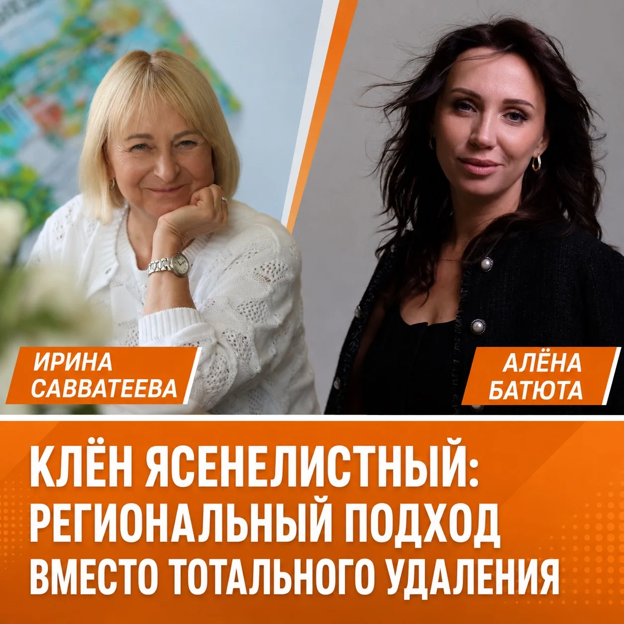 Клён ясенелистный: вырубить всё и забыть?

Коллеги, 300 лет этот куст интродуцировали, превращая в д