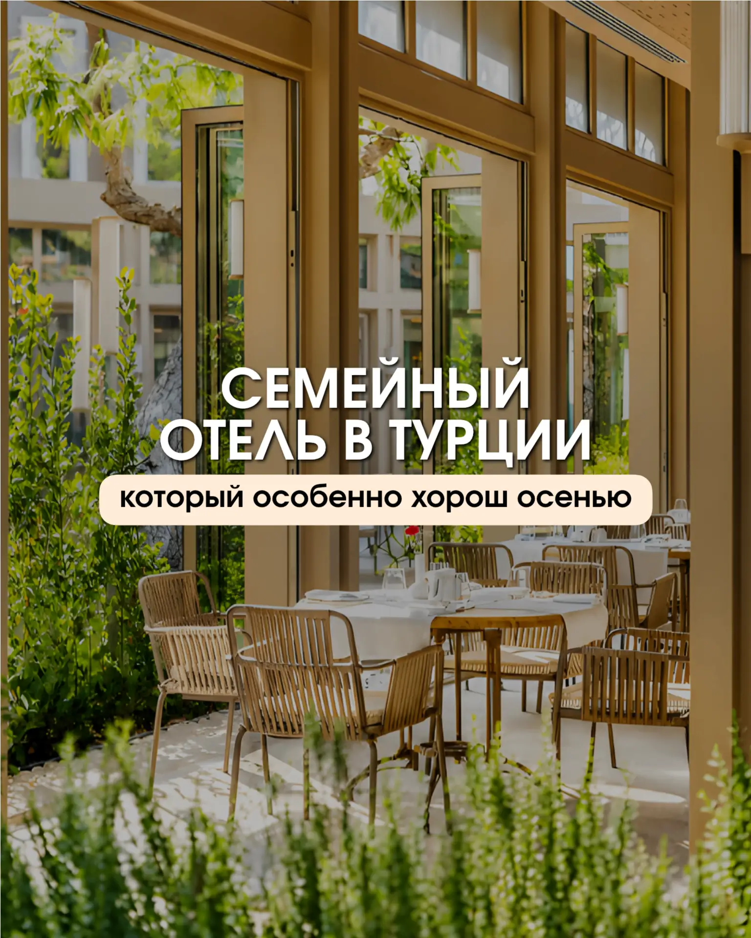 🍂 ОСЕННИЙ КЕМЕР: КОГДА СЕМЕЙНЫЙ ОТДЫХ СТАНОВИТСЯ ЕЩЁ ТЕПЛЕЕ