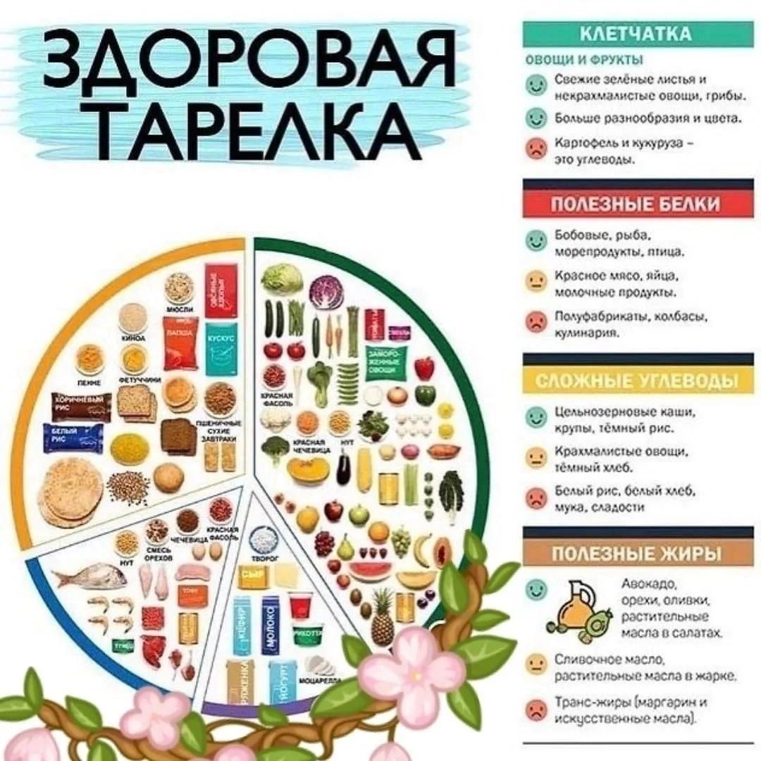 ‼️ЗДОРОВАЯ ТАРЕЛКА 🍽
