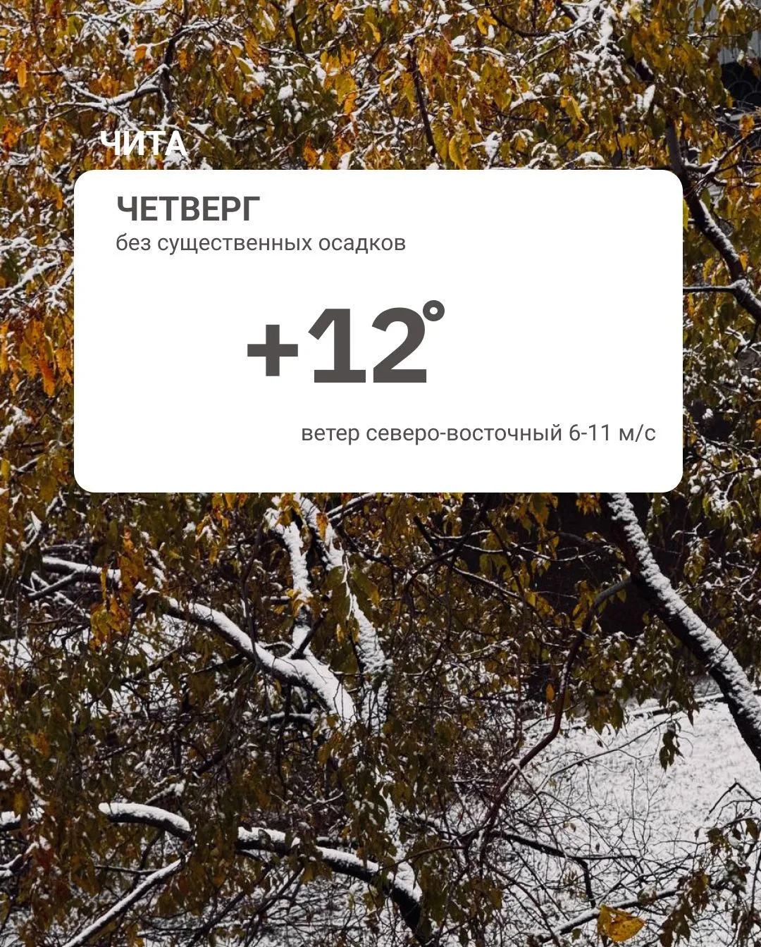 Погода днём. ⬆️