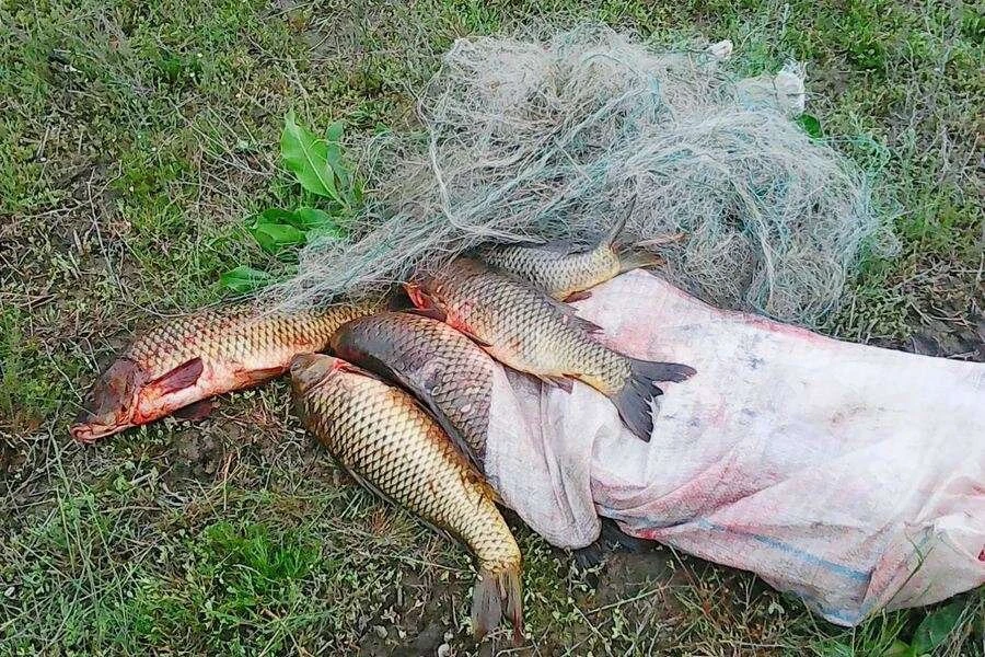 🚫 Зона запрета у шлюза: рыбалка под строгим контролем! 🚫