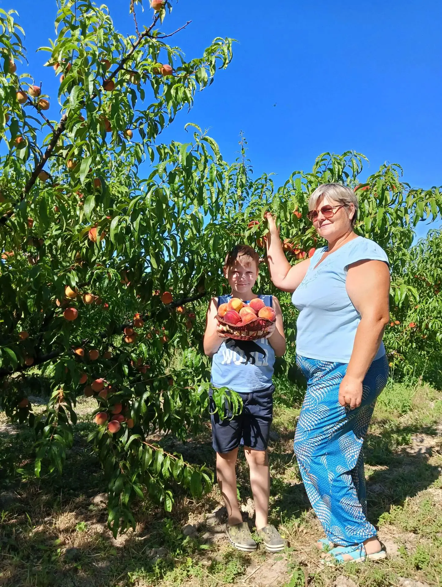 День персика: сладкий праздник в школьном канале! 🍑

Сегодня День персика! И это не просто про сочн