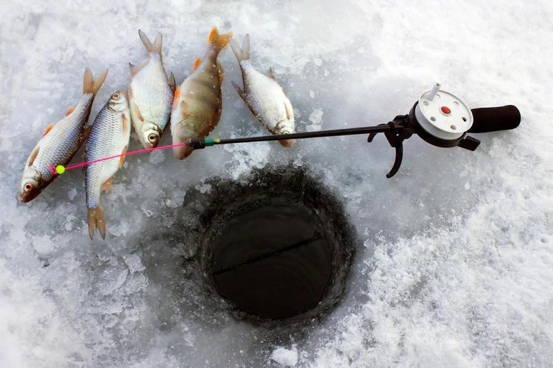 Товарищи рыбаки. 🎣