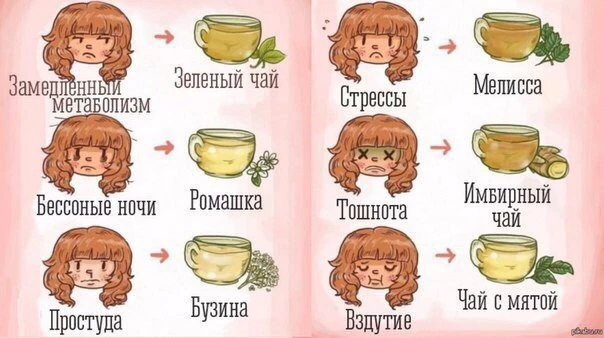 Да уйдёт жир с пуза в чужие рейтузы!

Сельдерей ПП рецепты