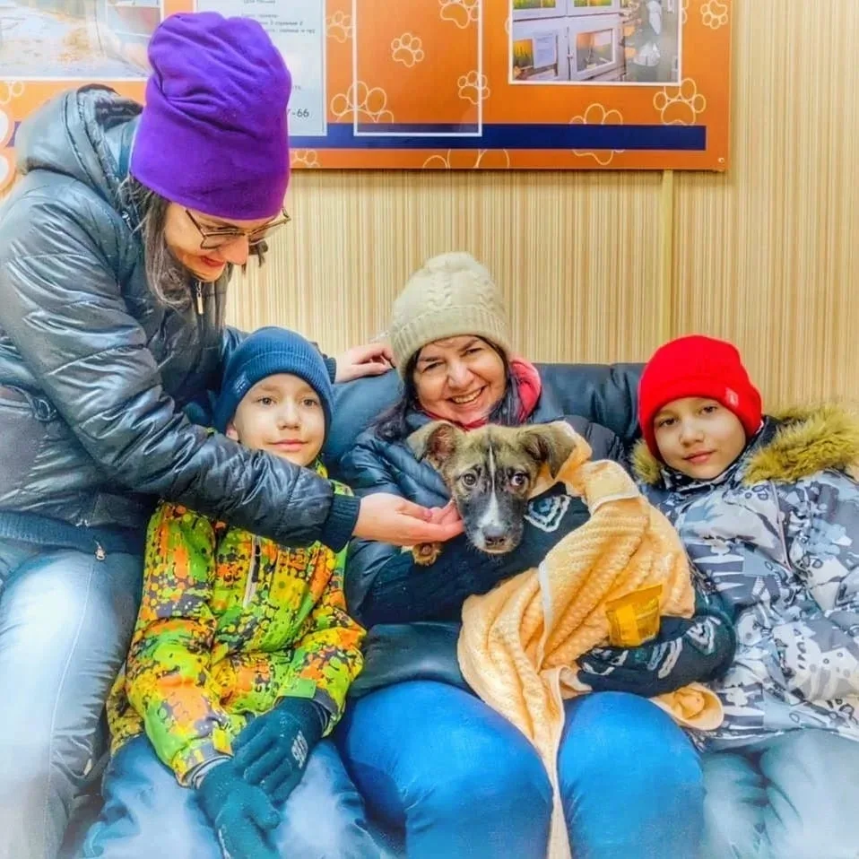 Когда ум — лучшая порода! ❤️ Новые истории о повзрослевшем Гетсби  Всем огромный и тёплый привет! Се