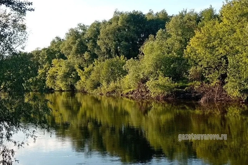 🎨 Участникам межрегионального пленэра в Уварове предложат нарисовать реку золотых зорь