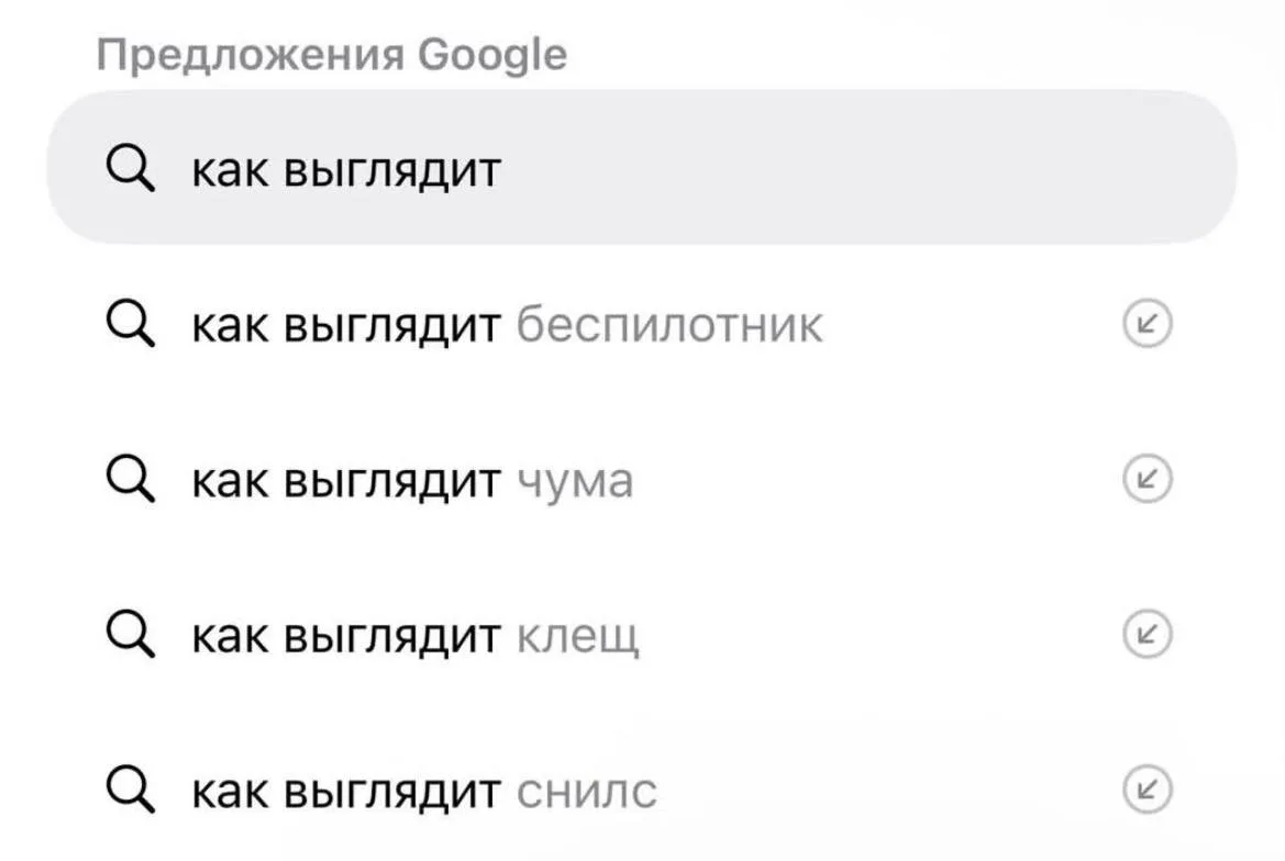 Про СНИЛС спрашивают те, кто выжил после предыдущих запросов 🤣