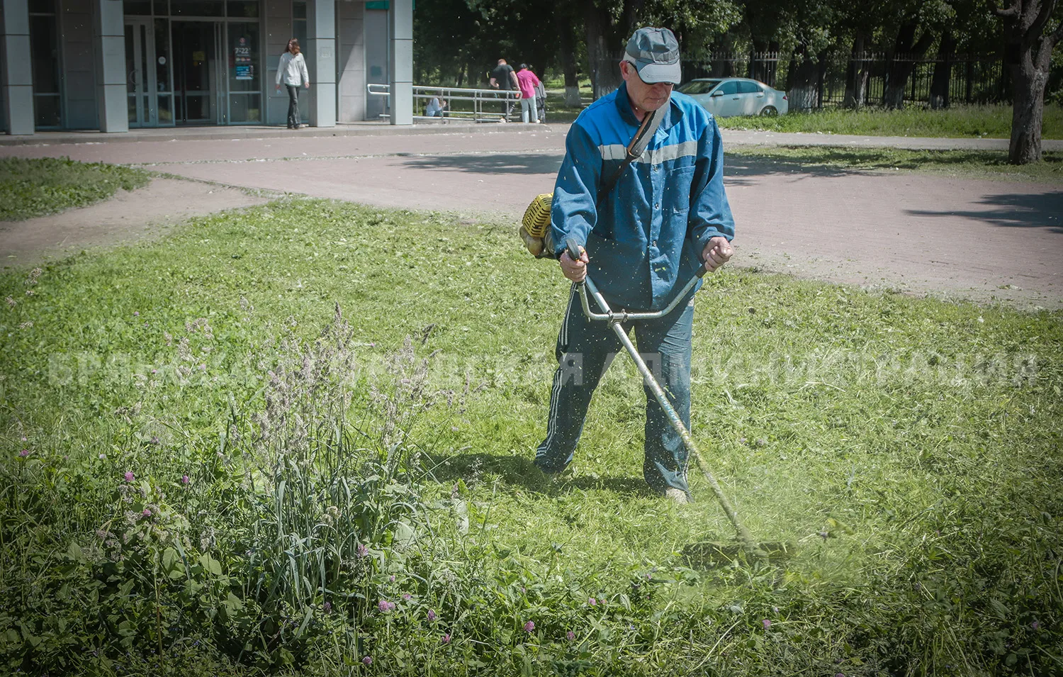 За выходные в Брянске скосили более 115 тысяч квадратных метров травы

Летом трава растёт без выходн