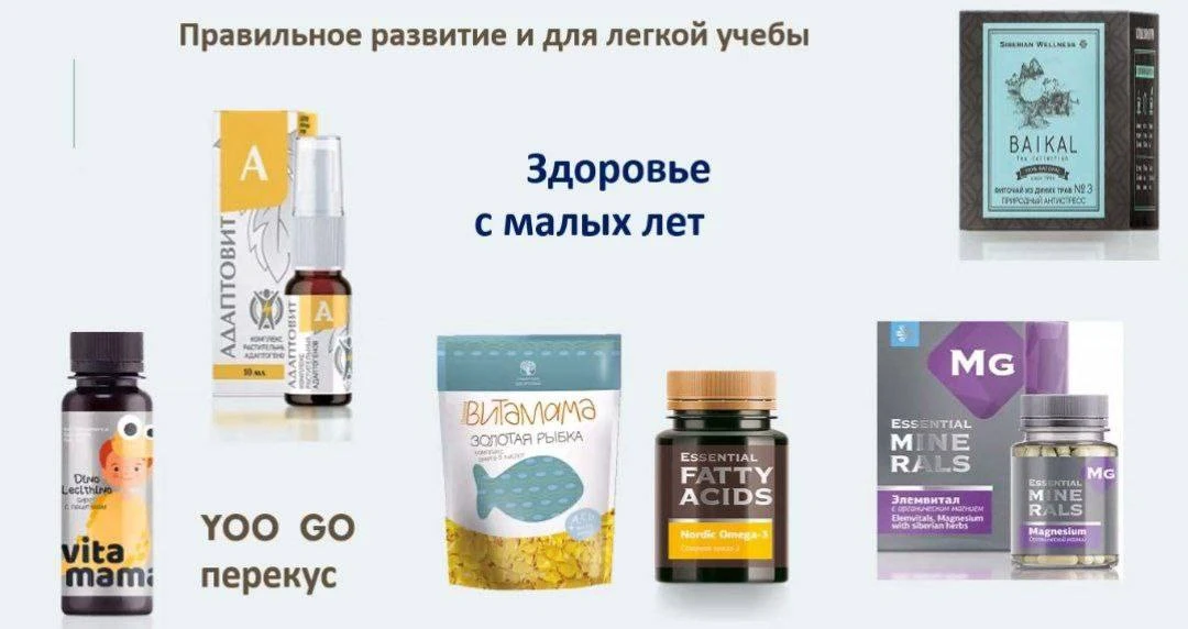 ПРОГРАММА