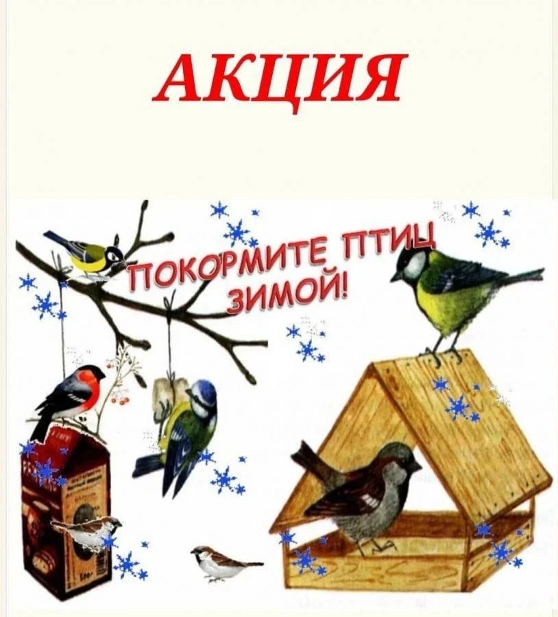 Ребята 3Г класса с радостью приняли участие в акции «Покормите птиц зимой» — это ежегодная общеросси