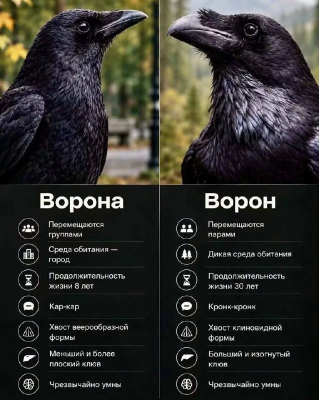 Познавательное ☝️