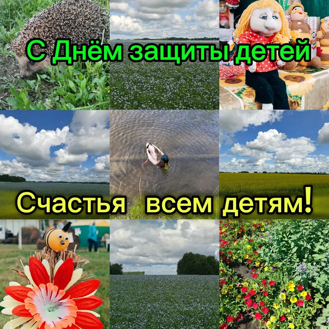 Добрый день.