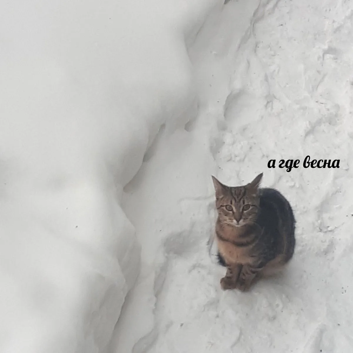 Отопительный сезон закончился, а весна теплом нас вообще не радует. 🥶  Обиднее всего то, что скоро м