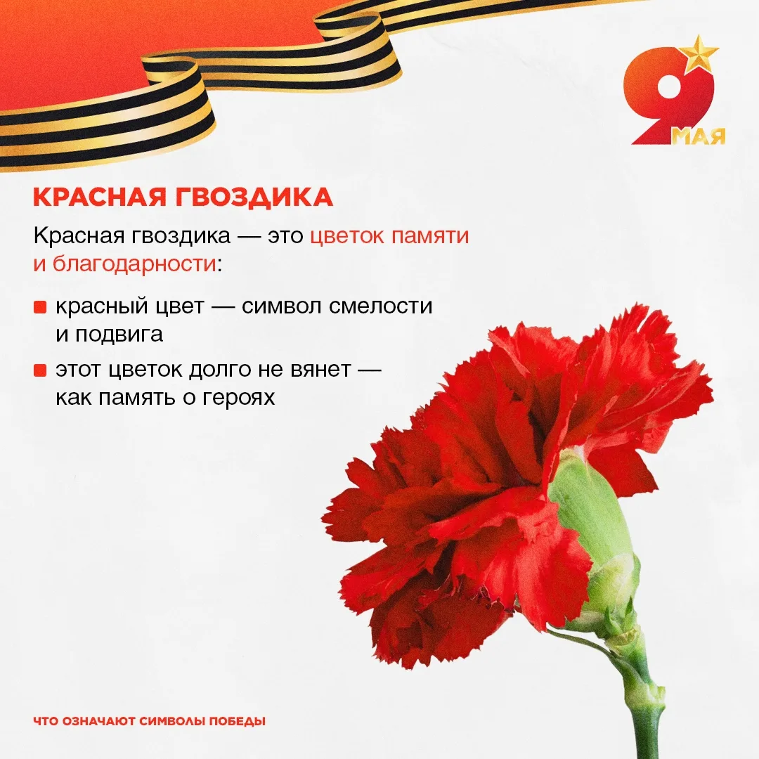 🎇 Каждый год мы вспоминаем важное событие — День Победы

Это день, когда закончилась тяжелая война 