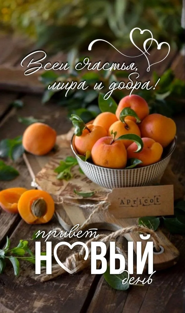 💞Красивые открытки💞