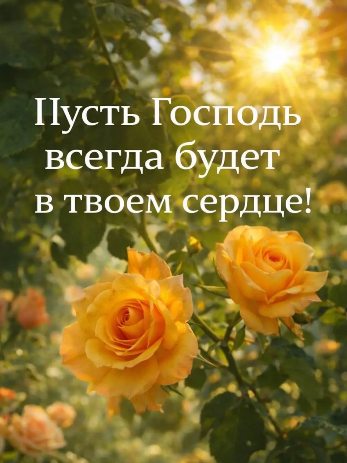 Открытки с верой