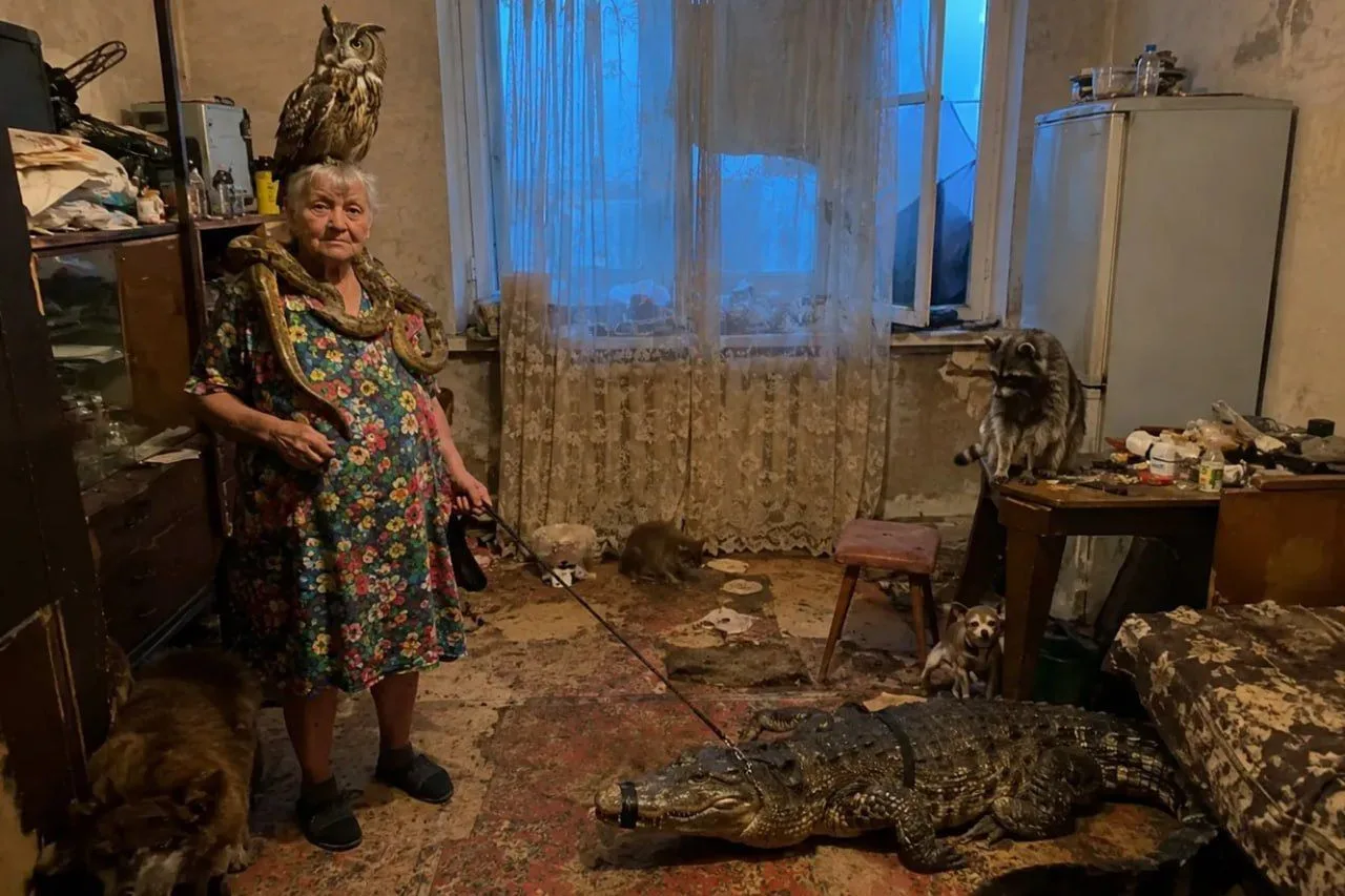 Суд запретил пенсионерке держать крокодила, удава, лису, 10 собак и 13 птиц в 52-метров...