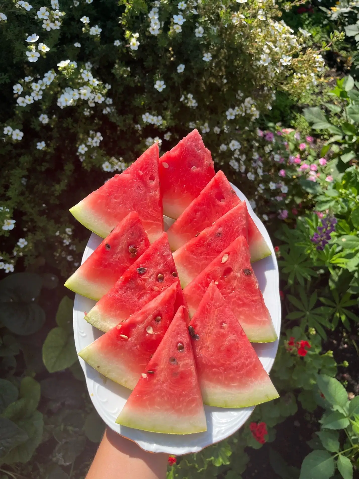 🍉 Международный День Арбуза отпразднуют в Салавате 3 августа

На семейном празднике будут: 
• ярмар