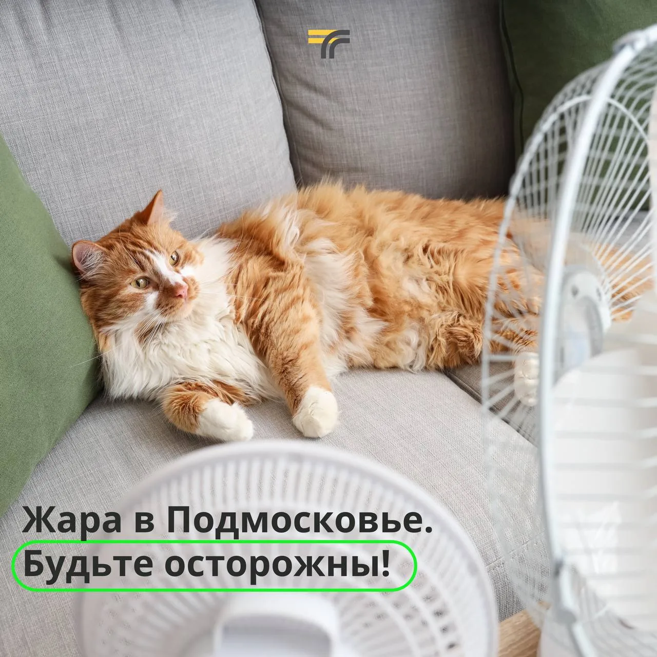 На этой неделе в Московском регионе — жара. Кого-то это радует, а кого-то, может, и нет.