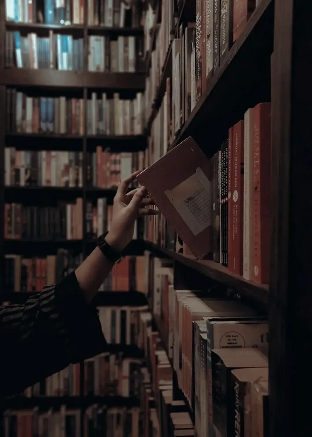 📚 Сегодня — Общероссийский день библиотек!   От всей души поздравляем Научную библиотеку ВГАУ и её з
