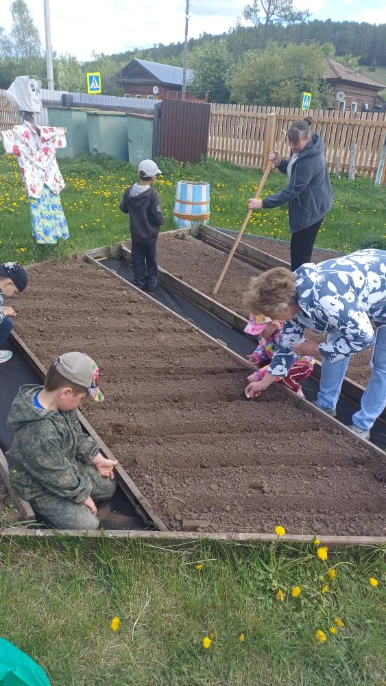 Мы посадим огород, не устанем от забот!