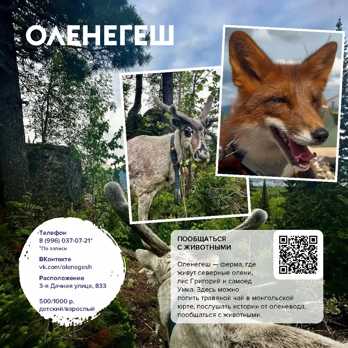 Оленегеш 🦌  
→ познакомиться с животными
→ попить травяной чай в юрте
→ послушать истории оленевода